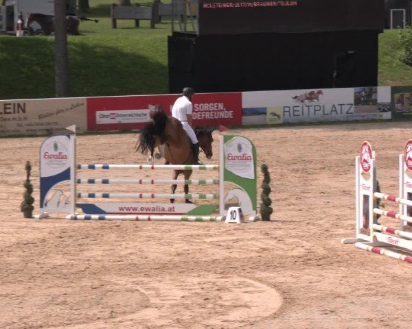 Reitturnier Stadl-Paura 2024
