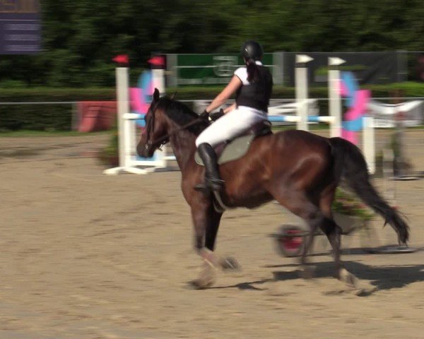 Reitturnier Weiswampach  2024