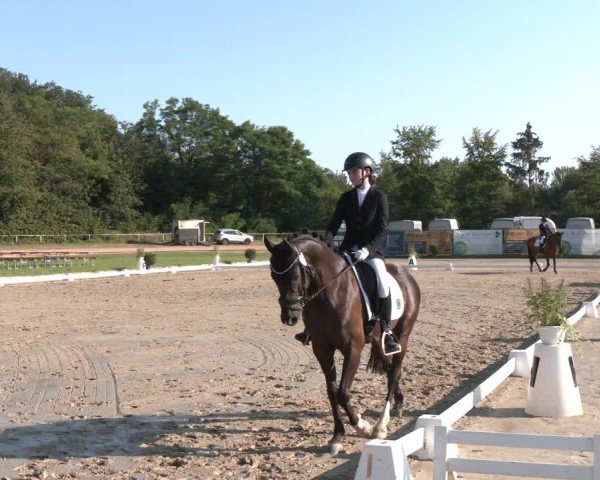 Reitturnier Heiligenwald 2024