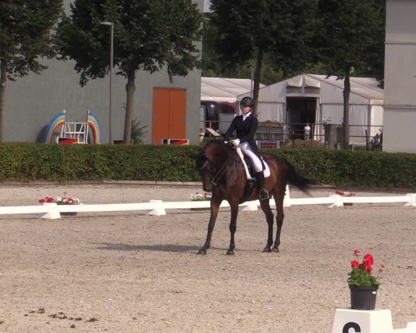 Reitturnier Neustadt/Dosse 2024