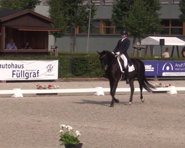 Reitturnier Neustadt/Dosse 2024