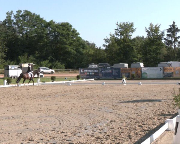 Reitturnier Heiligenwald 2024