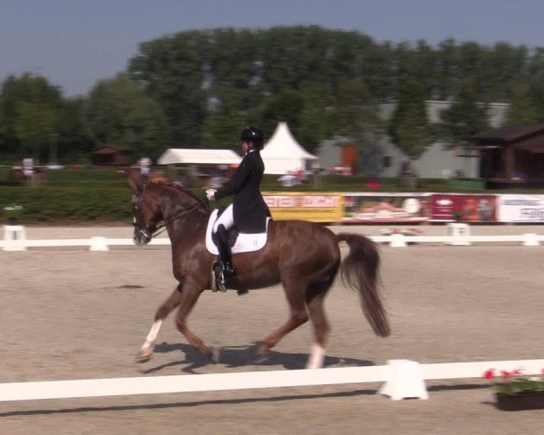 Reitturnier Neustadt/Dosse 2024