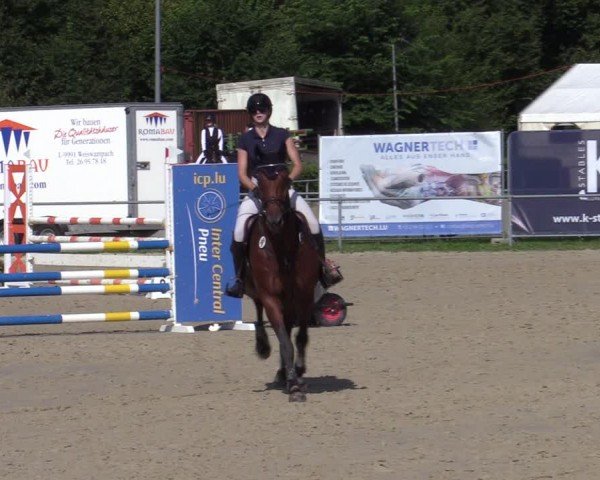 Reitturnier Weiswampach  2024