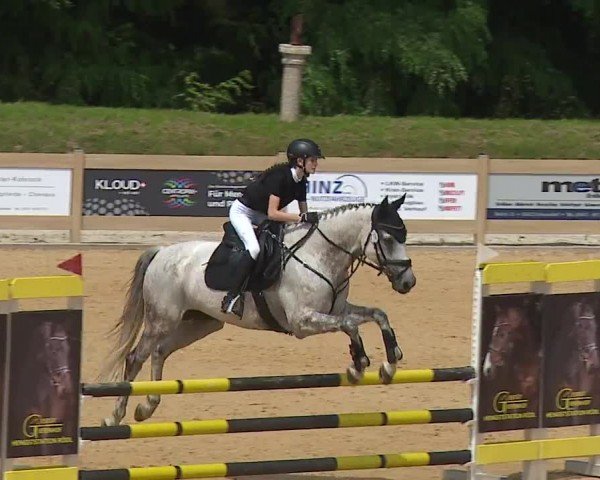 Reitturnier Tiefenhof/Opf. 2024