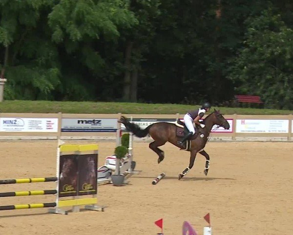 Reitturnier Tiefenhof/Opf. 2024
