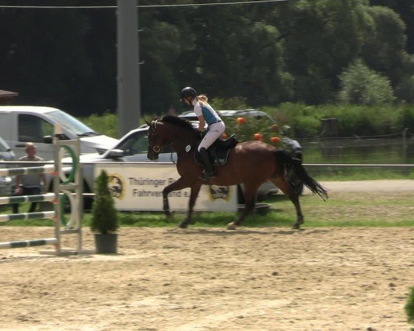 Reitturnier Bad Liebenstein/Sorga 2024