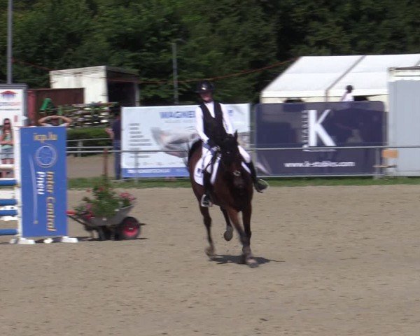 Reitturnier Weiswampach  2024