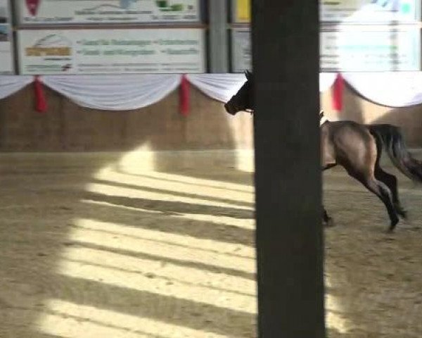 Spring-Event Goch 2013
