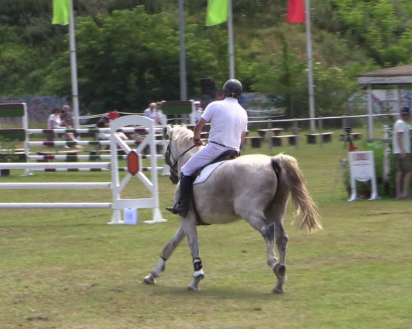 Reitturnier Gardelegen 2024