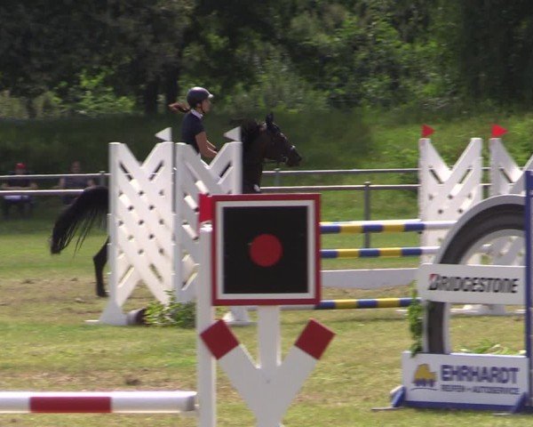 Reitturnier Gardelegen 2024