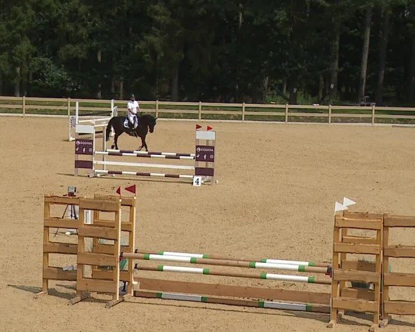 Reitturnier Tiefenhof/Opf. 2024