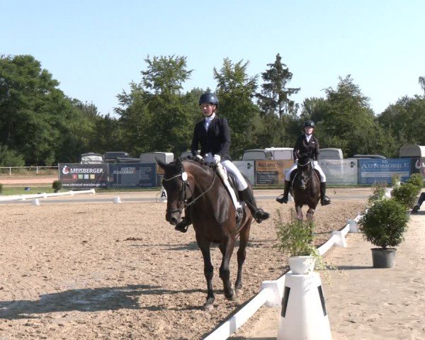 Reitturnier Heiligenwald 2024