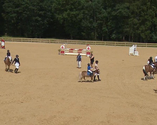 Reitturnier Tiefenhof/Opf. 2024