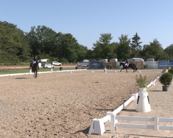 Reitturnier Heiligenwald 2024