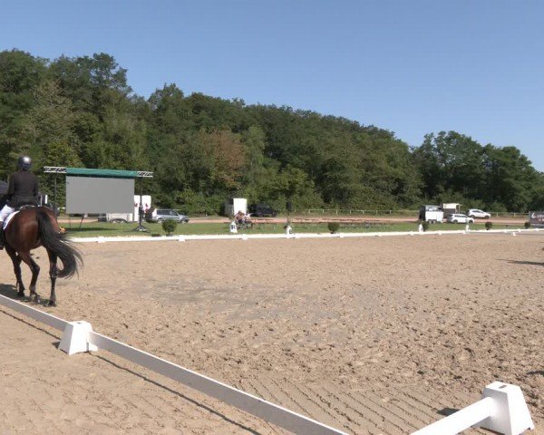 Reitturnier Heiligenwald 2024