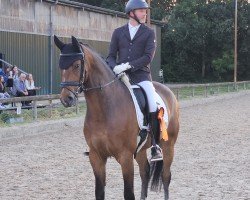 dressage horse Dieter 57 (Hanoverian, 2020, from Da Costa)