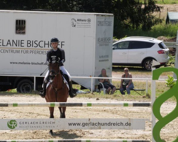 Reitturnier Heiligenwald 2024