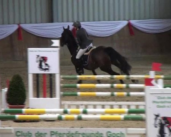 Spring-Event Goch 2013