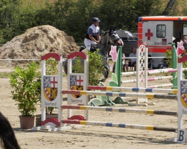 Reitturnier Heiligenwald 2024