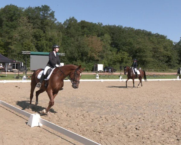 Reitturnier Heiligenwald 2024