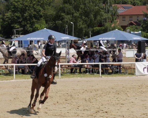 Reitturnier Heiligenwald 2024