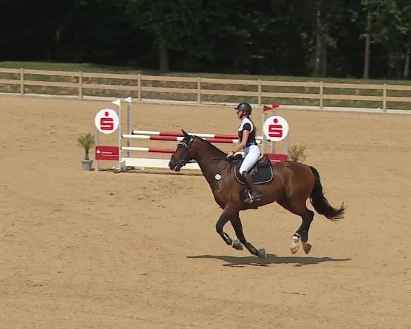 Reitturnier Tiefenhof/Opf. 2024