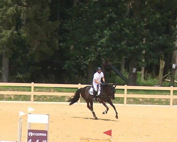 Reitturnier Tiefenhof/Opf. 2024
