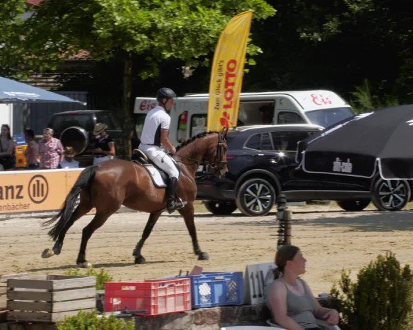 Reitturnier Heiligenwald 2024