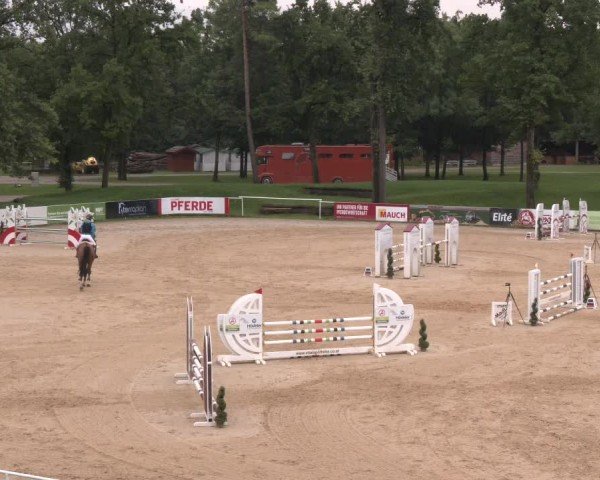 Reitturnier Stadl-Paura 2024
