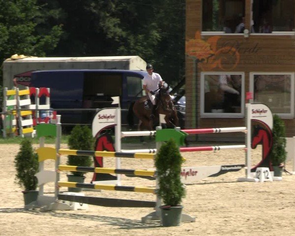 Reitturnier Bad Liebenstein/Sorga 2024