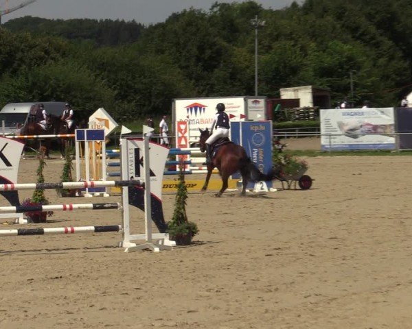Reitturnier Weiswampach  2024