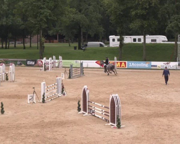 Reitturnier Stadl-Paura 2024
