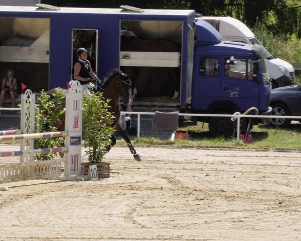 Reitturnier Heiligenwald 2024