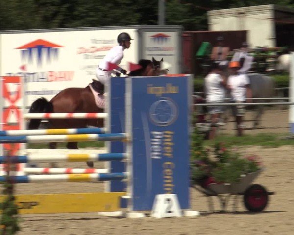 Reitturnier Weiswampach 2024
