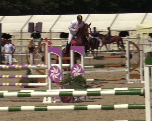 Reitturnier Weiswampach  2024