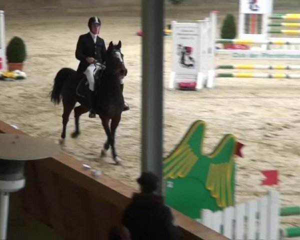 Spring-Event Goch 2013
