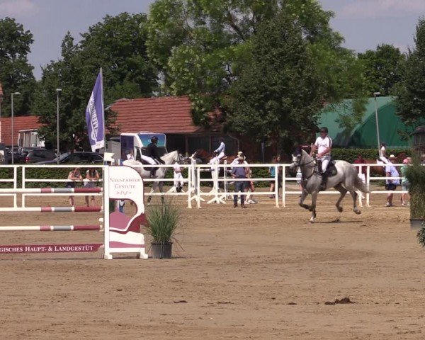 Reitturnier Neustadt/Dosse 2024