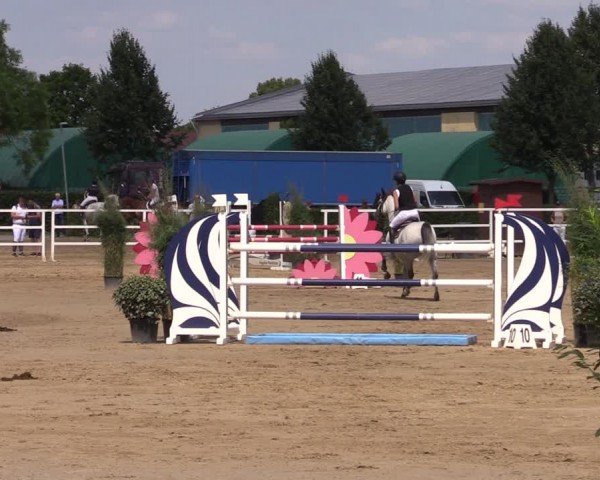 Reitturnier Neustadt/Dosse 2024