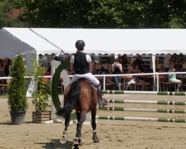 Reitturnier Heiligenwald 2024