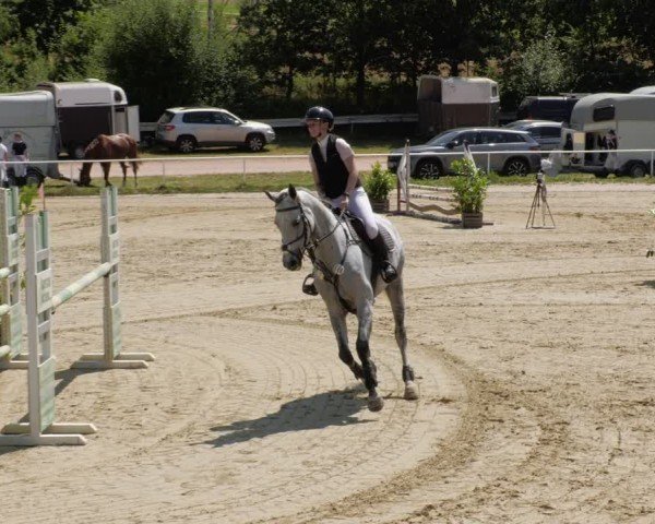 Reitturnier Heiligenwald 2024