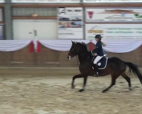 Spring-Event Goch 2013