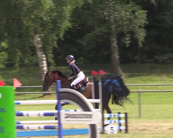 Reitturnier Gardelegen 2024