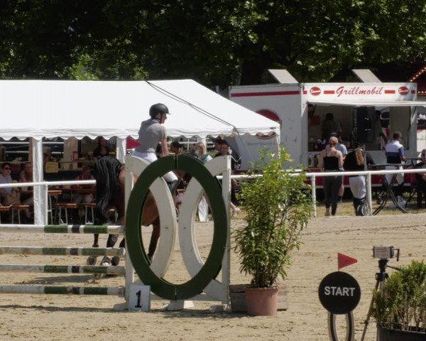 Reitturnier Heiligenwald 2024