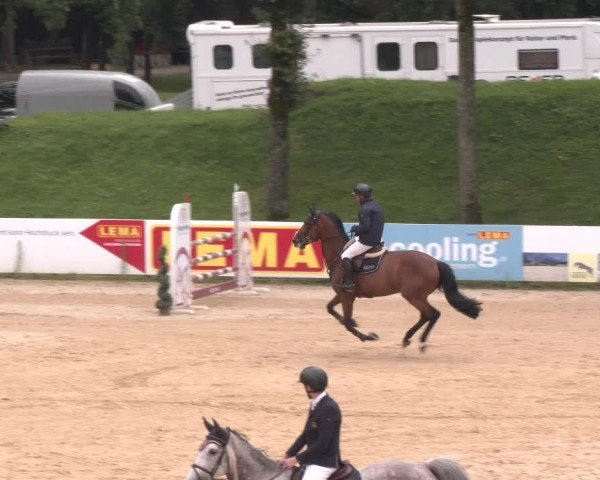 Reitturnier Stadl-Paura 2024