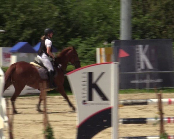 Reitturnier Weiswampach  2024
