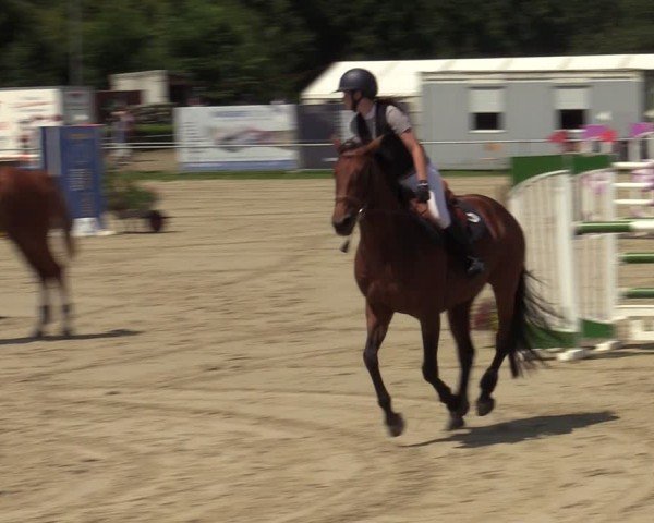 Reitturnier Weiswampach  2024