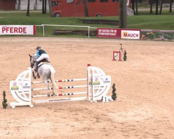 Reitturnier Stadl-Paura 2024