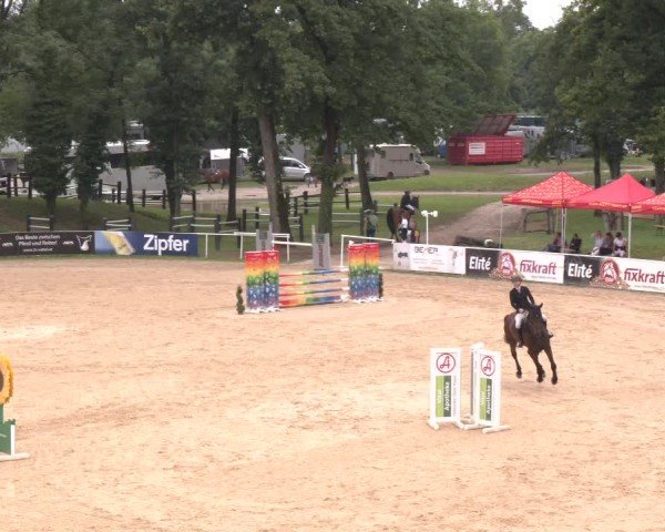 Reitturnier Stadl-Paura 2024