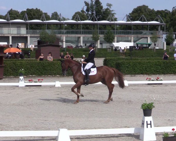Reitturnier Neustadt/Dosse 2024